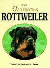 The Ultimate Rottweiler