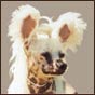 Chinese Crested Dog Barbie